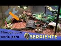 COMO HACER TU PROPIO TERRARIO. Coloca un marco a tu terrario. Mordida de serpiente.