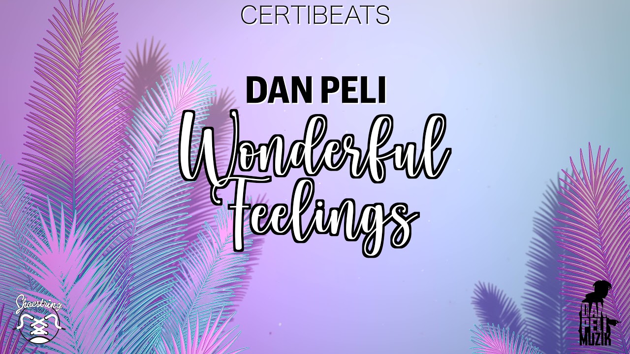Dan Peli - Wonderful Feeling (Official Audio)