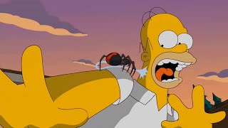 The Simpsons - Homer will turn into a spider