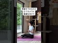 超楽!骨盤歩きで痩せ体質🧘#朝ヨガ #オンラインヨガ #ヨガ初心者 #ヨガ #ヨガ好きな人と繋がりたい #毎朝ヨガライブ