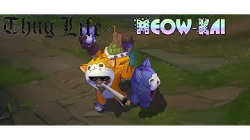 Thug life Meowkai