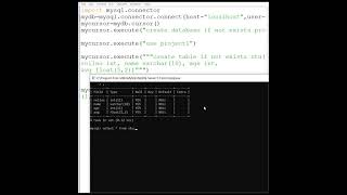 IP Class XII Part 14 Connectivity Python with MySQL