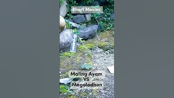 Maling Ayam VS Korup Megalodon |  Versi Anima Meme 🤣 #shorts  #memes #koruptor