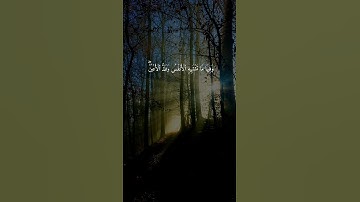 سورة الزخرف { ٦٩ ــ ٧٣ } #ياسر_الدوسري انشر تؤجر #quran