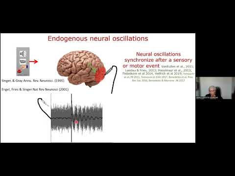 Neuronal oscillations and prediction in perception recording thumbnail