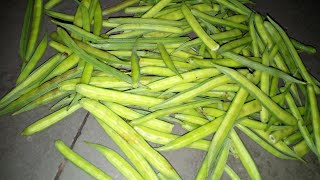 Cluster Beans Curry Recipe | अतिशय सोपी गवारीच्या शेंगाची भाजी रेसिपी | Gavarichi Bhaji Recipe