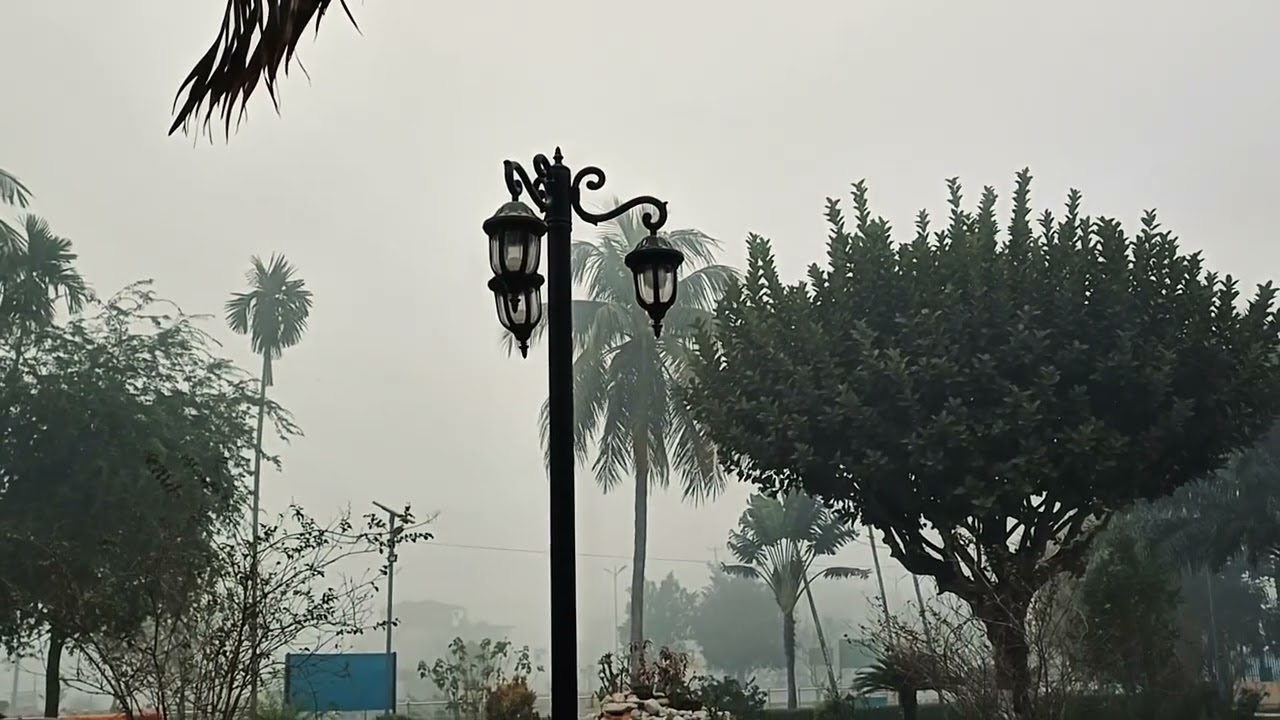 ভোরের আলোয় বাংলার রূপ | Morning Bangladesh