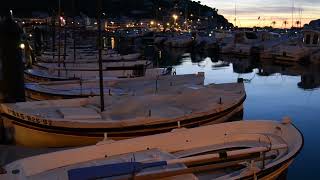 Sunrise Serenity by the Marina - Screensaver video screenshot 3