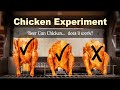 Beer Can Chicken Experiment