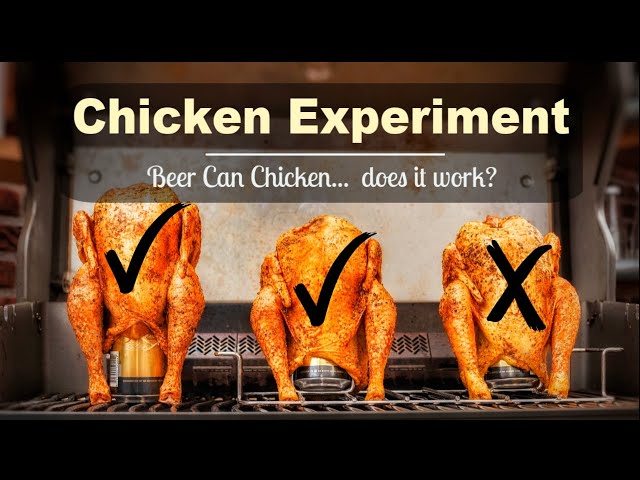 Beer Can Chicken Experiment