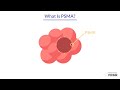 What Is PSMA What Is PSMA