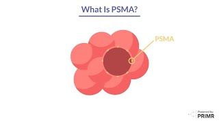 What is PSMA?