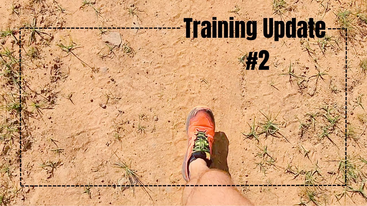 Training Update #2 | Notes About Cadence