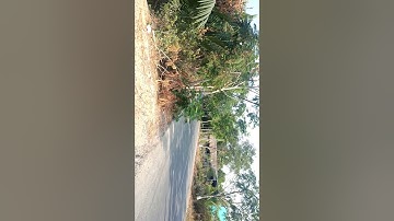 Bán đất thổ cư cần giờ lô góc hai mặt tiền lh 0708797989 thaotayland.com