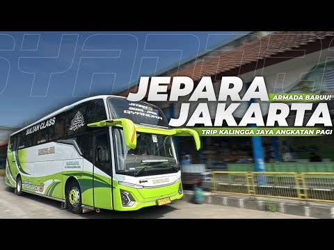 BUS BARUU‼️ REKOMENDASI BUS ANGKATAN PAGI MURIA RAYA‼️🥰 - Trip Kalingga Jaya Kudus - Bekasi