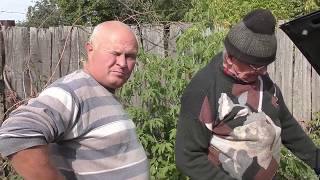 Видео Заглох на ходу и не запускается (не заводится). (автор: Александр Скрипченко)