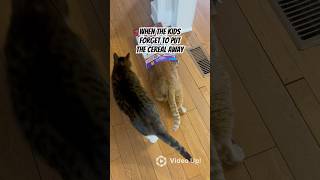 Simon Cat Loves Cheerios