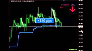 Forex X Code Review   Newest Forex Software Sept 2013