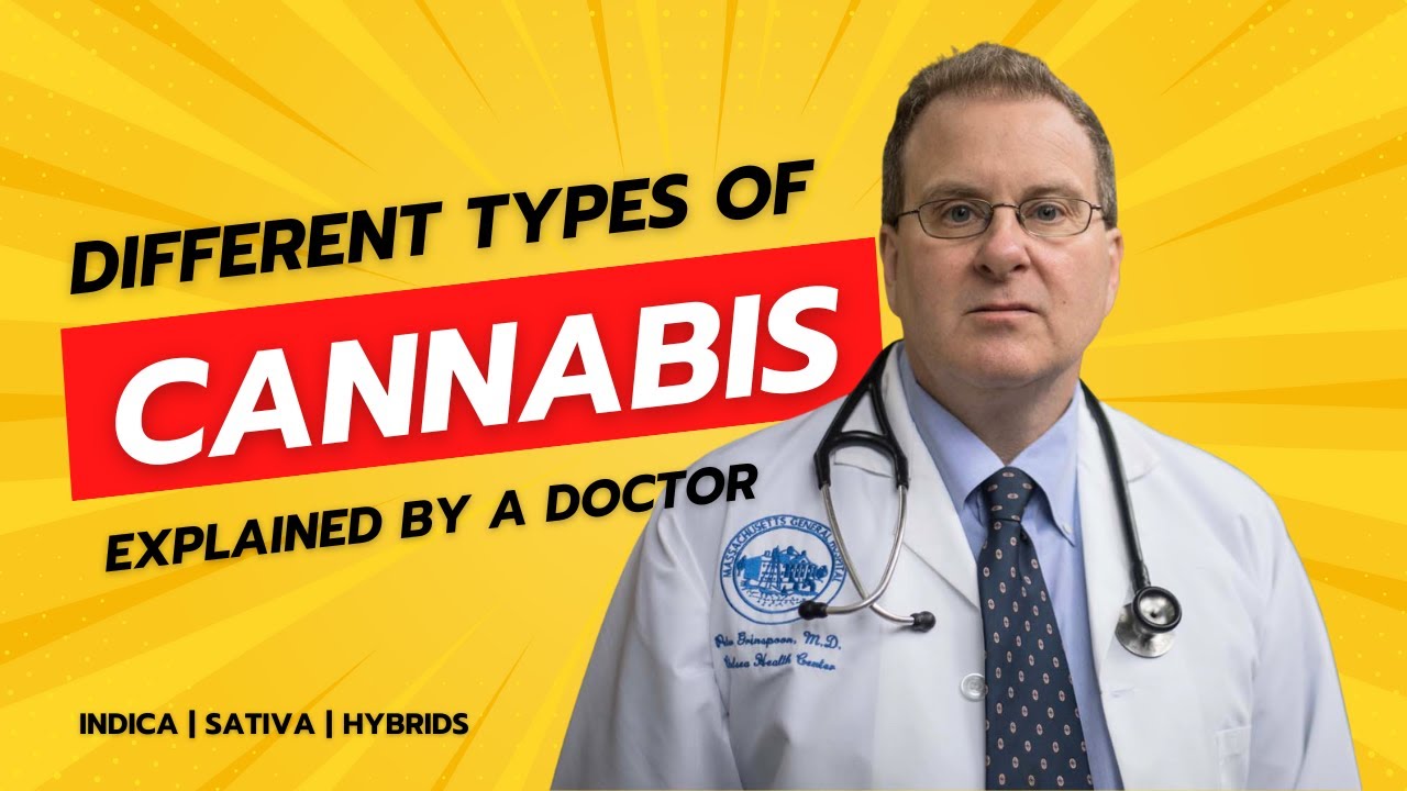 Indica, Sativa, Hybrids - A Physician's Guide to Cannabis Varieties...