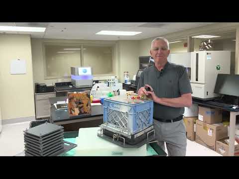 (AD) Arms and ARMS for Coral Reefs, Lee Weigt, Director, Laboratories of Analytical Biology