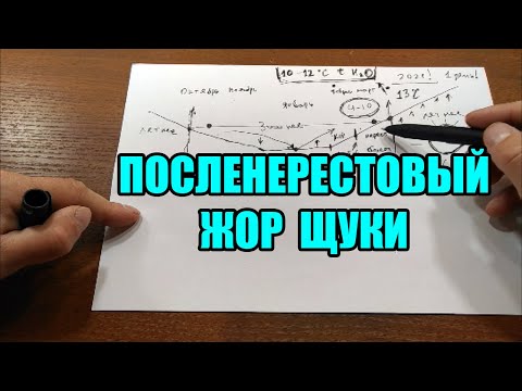 Посленерестовый жор щуки. Когда будет клевать щука весной?