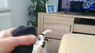 Stumpy Annoyed About A Childs Feet Being Tickled.