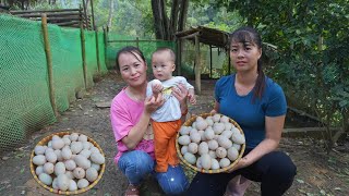 Phuong  Free Bushcraft donates eggs to single mothers to sell to raise money for their children