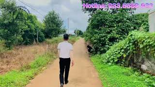 Gần 700M2 Trung Tâm Nam Hà, Huyện Lâm Hà, Ngoại Ô Đà Lạt. Sẵn Sổ Riêng, 150M Thổ Cư