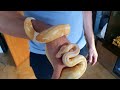 🐍 First Day With an Albino Ball Python Baby