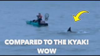We Used a WHOLE FISH for Bait… Then This Monster Hit