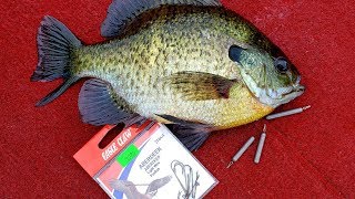 Dropshot Fishing for Panfish (Big Bluegills)