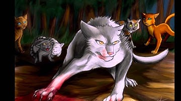 Safe & Sound~ Warrior Cats