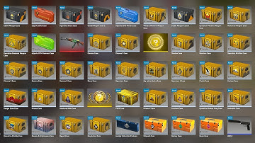 I Opened EVERY CS2 Case and THIS Happened...