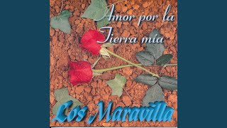 Video thumbnail of "Los Maravilla - Celos Gitanos (Tangos)"