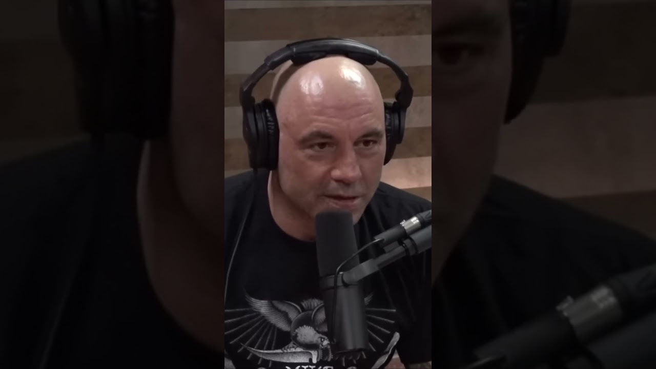 The Future of Human Beings  Symbiotic Relationship with AI 