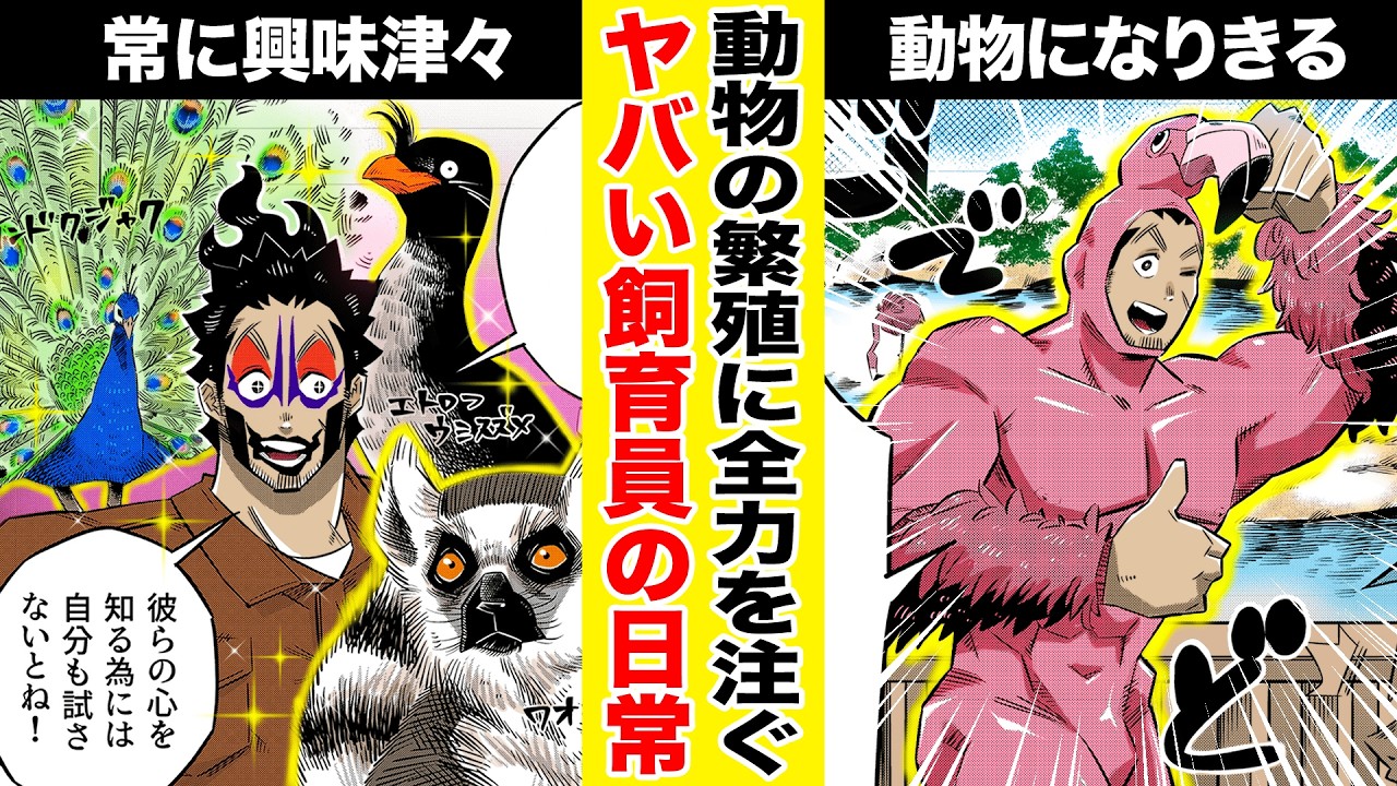 Manga] Group courtship!? The secret to breeding flamingos is too