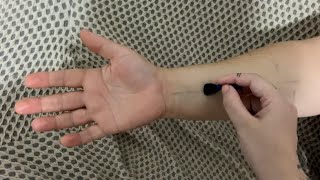 el masajı/kontrolü (hızlı türkçe asmr) ft. kedi mırlaması screenshot 4