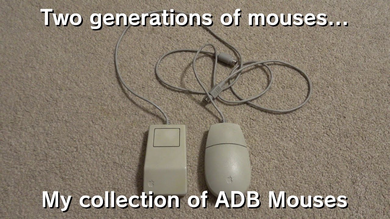 The Two Vintage Apple Desktop Bus Mouses In My Collection
