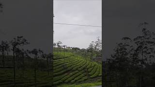 ഇതൊക്കെ നമ്മുടെ നാട്ടിൽ ആണോ 😱👀#shortsfeed #shortvideo #youtubeshorts #parunthumpara #theni