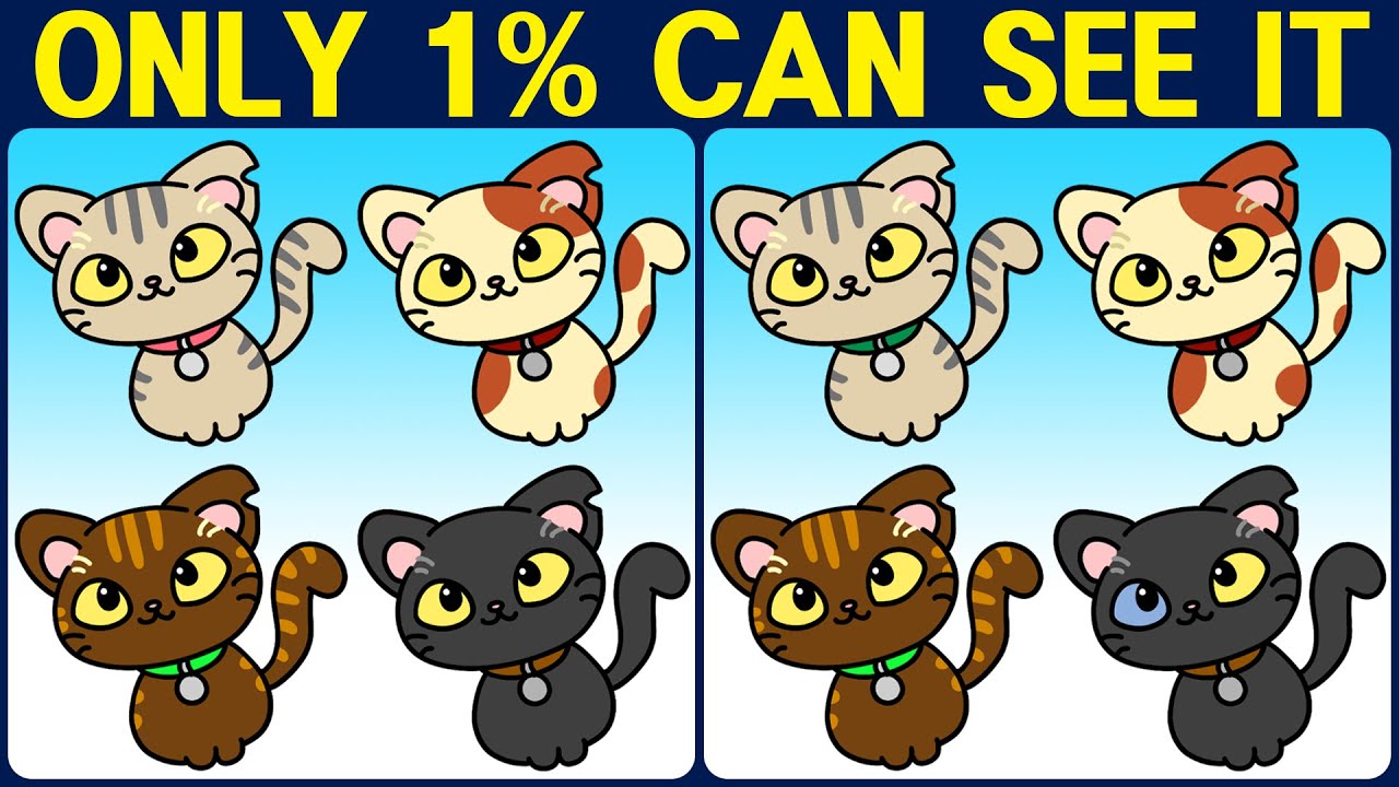 [Spot the Difference Brain Training] Find them all and prove your smartness.