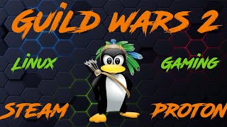 Windows Games unter Linux mit Steam Proton als Steamfremdes Spiel  z.B. Guild Wars 2!