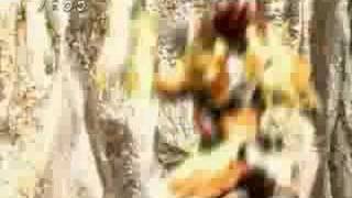 AMV Digimon X-Bodies