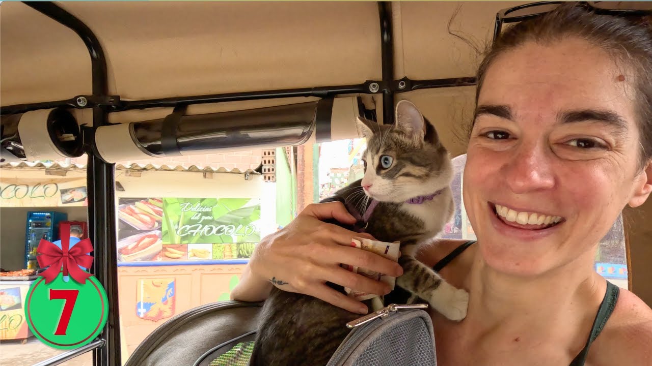 I Explored Pet Friendly Travel in Colombia YouTube