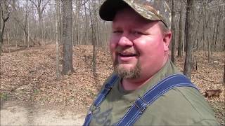 Removing a dead tree with tannerite and a tractor