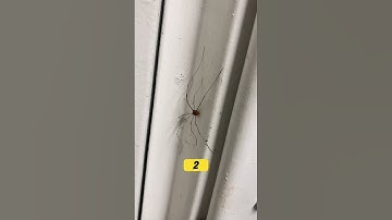 5 reasons I NEVER USE RV PARK BATHROOMS! #rvlife