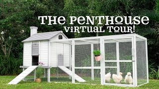 Penthouse Chicken Coop - Virtual Tour!