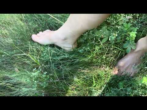 summer walk in the forest barefoot