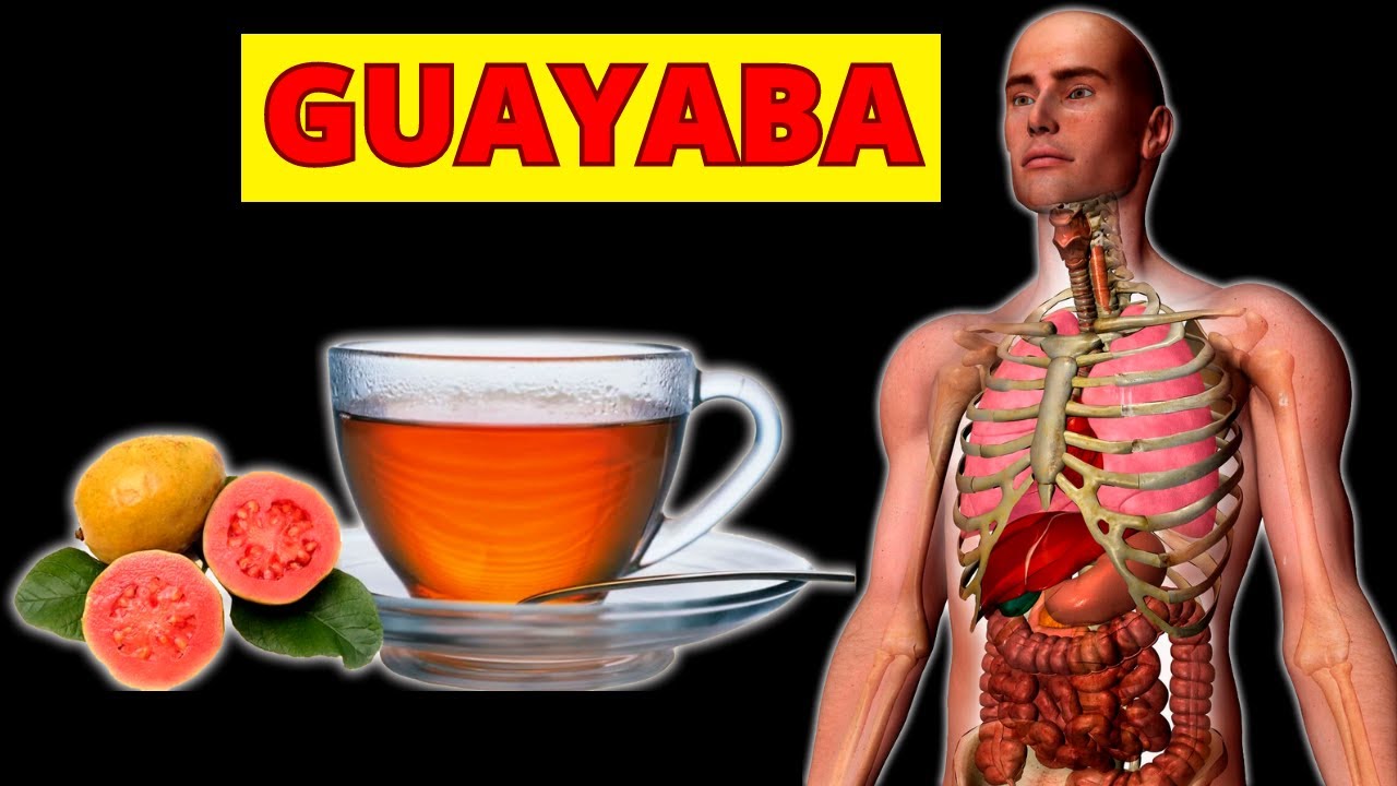 BENEFICIOS de tomar TÉ de HOJAS de GUAYABA y su FRUTA para SANAR