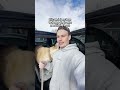 Dog Waits 6 Years In A Shelter — Then Flies Private To Vegas | The Dodo