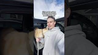 Dog Waits 6 Years In A Shelter — Then Flies Private To Vegas | The Dodo